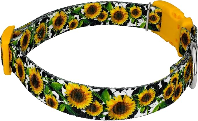 Country Brook Petz - Deluxe Dairy Fields Dog Collar - Made in The U.S.A. - Country and Western Collection Featuring Rustic Designs (1 Inch, Large)