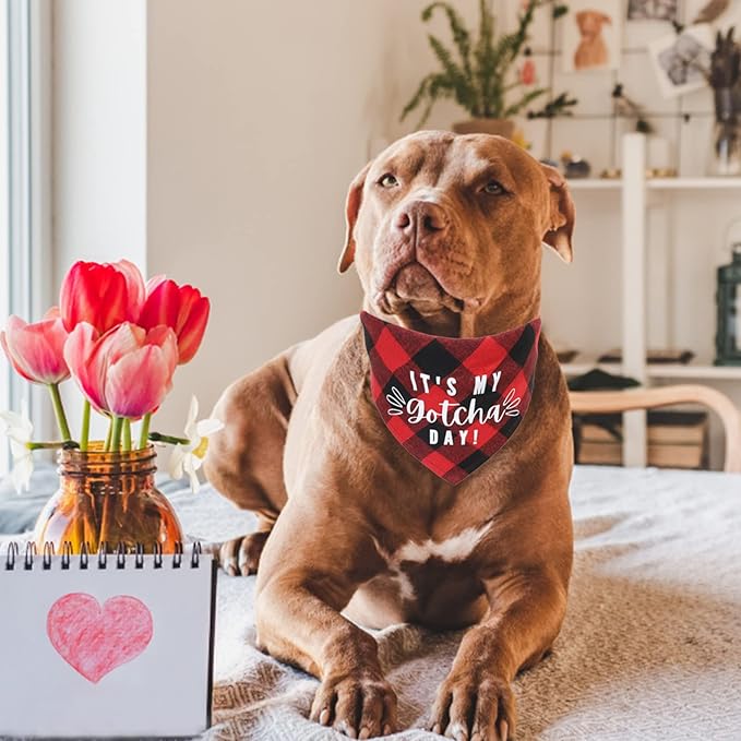 Dog Birthday Bandana Hat Bow Tie Set, 3 Pieces Foldable My Gotcha Day Plaid Dog Bandana Dog Birthday Party Hat with Cute Dog Bow Tie Collar for Dogs Cats Pets, Red