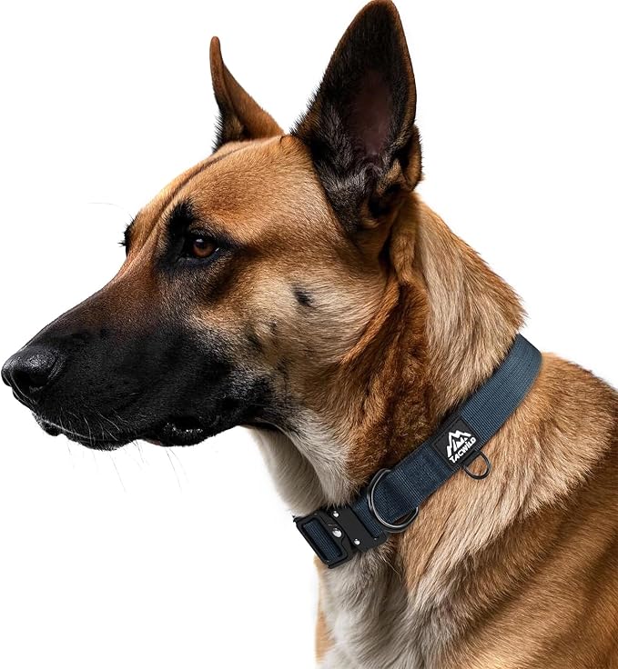 Heavy Duty Dog Collars for Medium and Large Dogs - Adjustable, Chew Proof Nylon Collar with Metal Quick Release Buckle and D-Ring for Dog Tags (Navy Blue, XL)