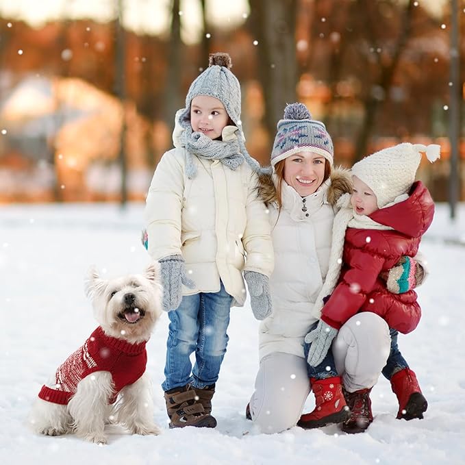 Mihachi Soft Warm Dog Sweater for Small Dogs & Cats - Turtleneck Knitted Pullover with Leash Hole, Red XS