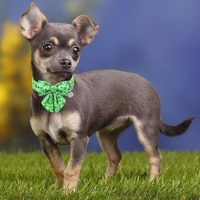 St. Patrick's Dog Collar with Bow Tie, Cotton St. Patrick's Bowtie Collar for Girl Boy Dog, Lucky Shamrock Dog Collar with Metal Buckle, Green, Spring, XS