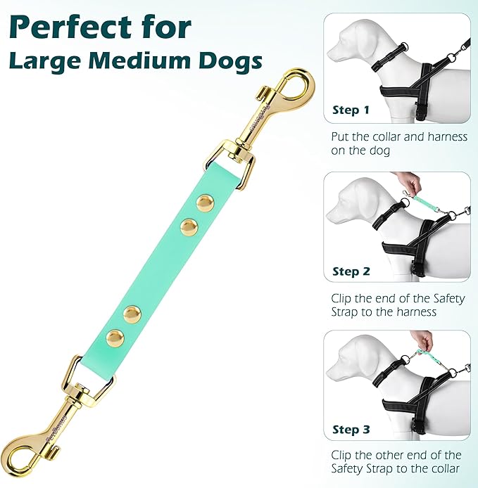 PetBonus Dog Collar Safety Clip, Waterproof Backup Safety Strap for Dog Harness to Prong Collar, Odor Proof Double Ended Clasp Leash Connector for Training Walking (Mint Green)