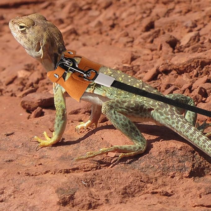 Bearded Dragon Harness and Leash Set, 3 Sizes Super Leather Vest with Retractable Rope, Brown