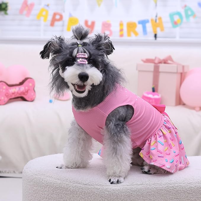 CuteBone Dog Mesh Dress Puppy Sundress Pet Outfit Summer Fashion for Small Dogs Girl Cat Clothes BF37XS-D