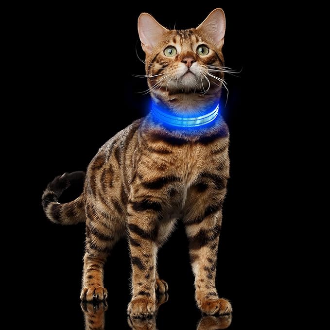 Illumifun LED Collar for Small Dogs - USB Rechargeable Dog Safety Collar Light, Adjustable Nylon Webbing Light Up Collar for Your Pups (Blue, X-Small)