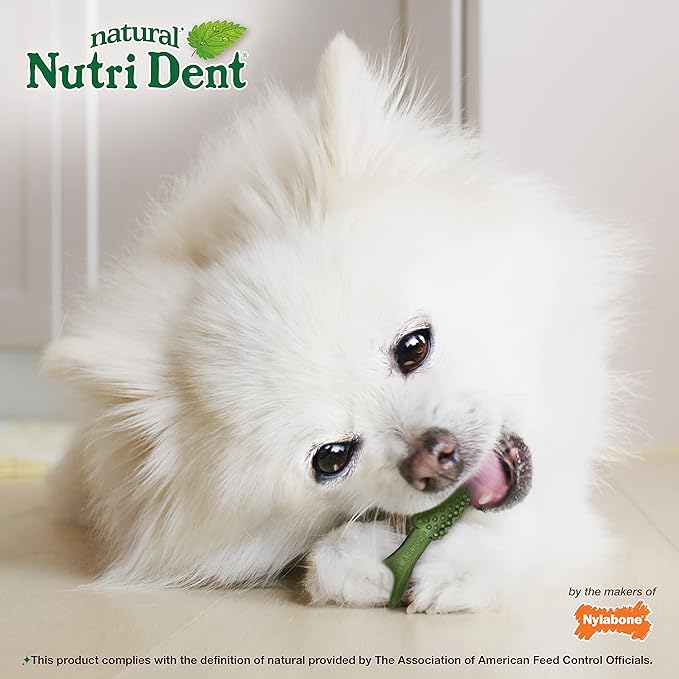 Nylabone Nutri Dent Dog Dental Chews, Natural Teeth Cleaning Treats & Breath Freshener for Dogs, Fresh Mint Flavor, Mini (78 Count)