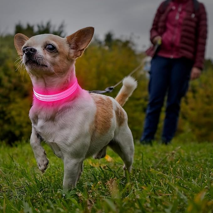 Illumifun LED Dog Collar USB Rechargeable Light Up Dog Collar, Adjustable Safety Collar Light for Small Dogs Cats Glow in The Dark (Pink, X-Small)