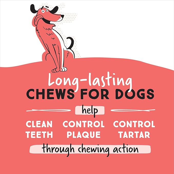 Ultra Chewy Double Treat Bones: Long-Lasting Dog Treats Made in USA for Large and Small Breeds, Highly Digestible, Ideal for Aggressive Chewers (Liver, 2 Value Packs)