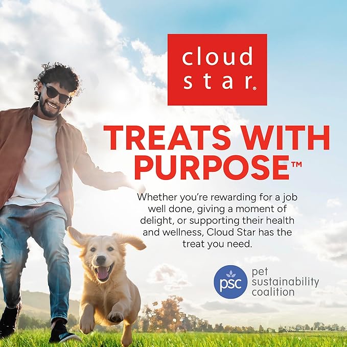 Cloud Star Dynamo Dog Skin & Coat Soft Chews Grain Free Dog Treats, Salmon, 14 oz. Pouch