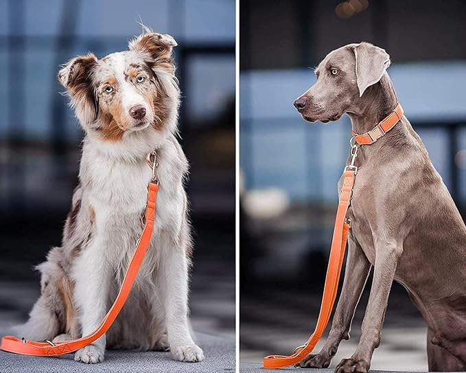 Soft Leather Dog Collar and Leash (6.6') Set - Stylish Rose Gold Heavy Duty Metal Buckle, 4 Adjustable Lengths Leash for Small Medium Large Dogs - Comfortable & Easy to Clean Orange L(15.4"-24.8")