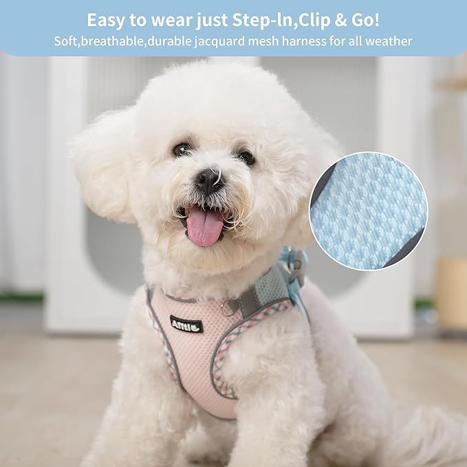 AIITLE Teacup Puppy Harness with Leash - Adjustable Soft Vest with Magic Velcro & Reflective Safety Strips, Easy-Put-On for Poodles, Pomeranians - Gym, Hiking, Travel (Blue-Pink, S)