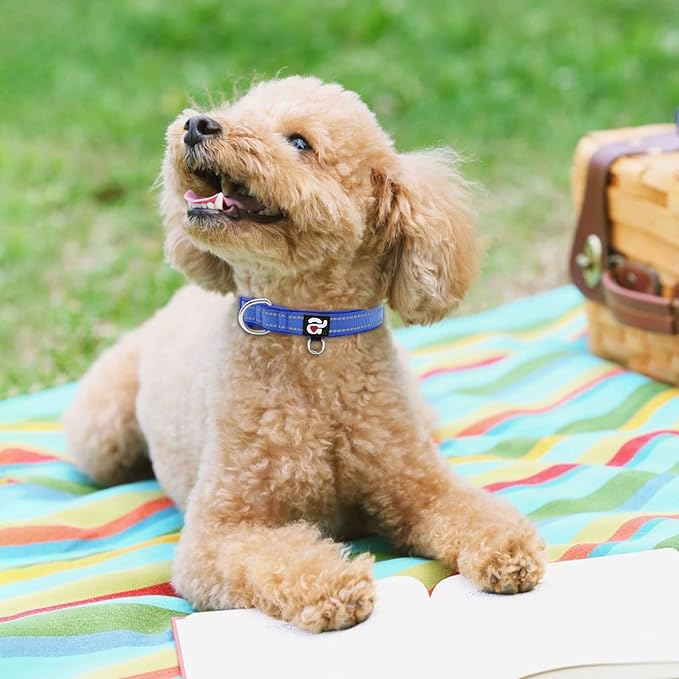 azuza Reflective Dog Collar,Soft Neoprene Padded Pet Collar with ID Tag Ring,Adjustable for Puppy and Small Dogs,Royal Blue,XS