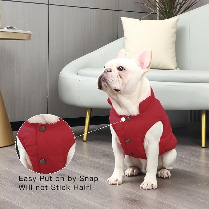 2 Layers Fleece Lined Warm Dog Jacket for Winter Cold Weather,Soft Windproof Large Dog Coat,Red XXXL
