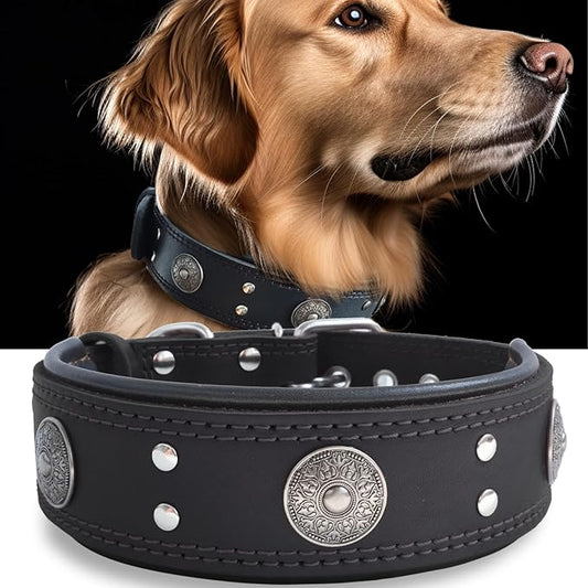 Leather Dog Collar, 2 inches Wide Heavy Duty Genuine Leather Collars, Handmade, Soft, and Luxury, Eye-catching Best Choice for Large and Medium Breed Dogs, Black 16.5-20.5 inches