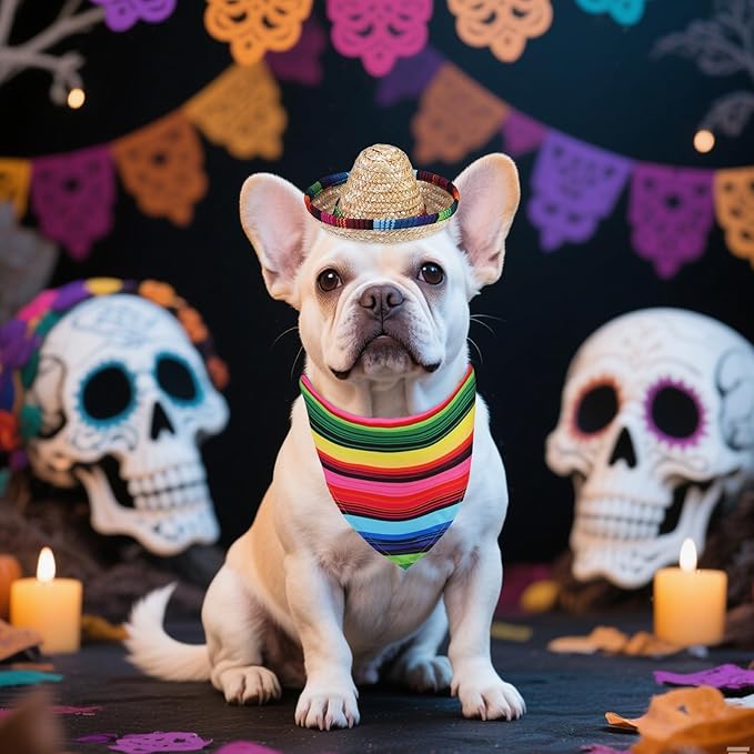 PUPTECK Mexican Day of The Dead Dog Bandana Outfit Scarf with Cute Doggy Sombrero Hat, Costume Decorations Supplies for Small Medium Large Dogs Boy Girl Gifts, Colorful