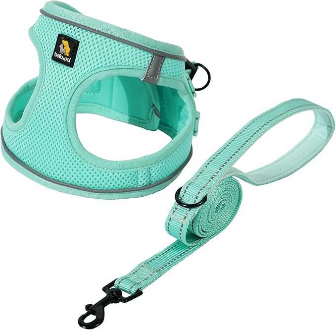 BELLA & PAL Puppy Harness & Leash Set, No Pull, Step-in Harness for Extra Small Dogs, Light Green, XS
