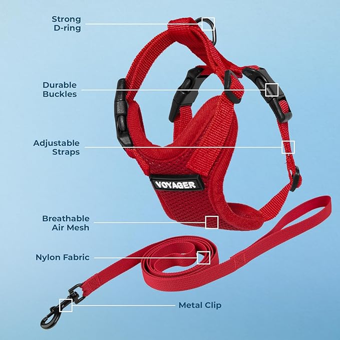 Voyager Step-in Lock Adjustable Cat Harness w. Cat Leash Combo Set with Neoprene Handle 5ft - Supports Small, Medium and Large Breed Cats by Best Pet Supplies - Red, XXXS