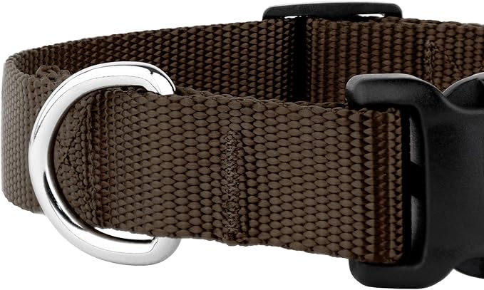 Country Brook Petz - American-Made Dog Collar for Large, Medium, and Small Dogs and Puppies - Deluxe Heavy Duty Nylon in 33 Dazzling Colors (Extra Large, 1 Inch Wide, Brown)
