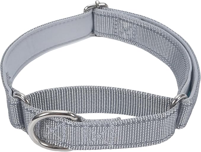 SGODA Martingale Dog Collar, Reflective Nylon Padded Dog Training Collars for Medium Dogs, Grey M
