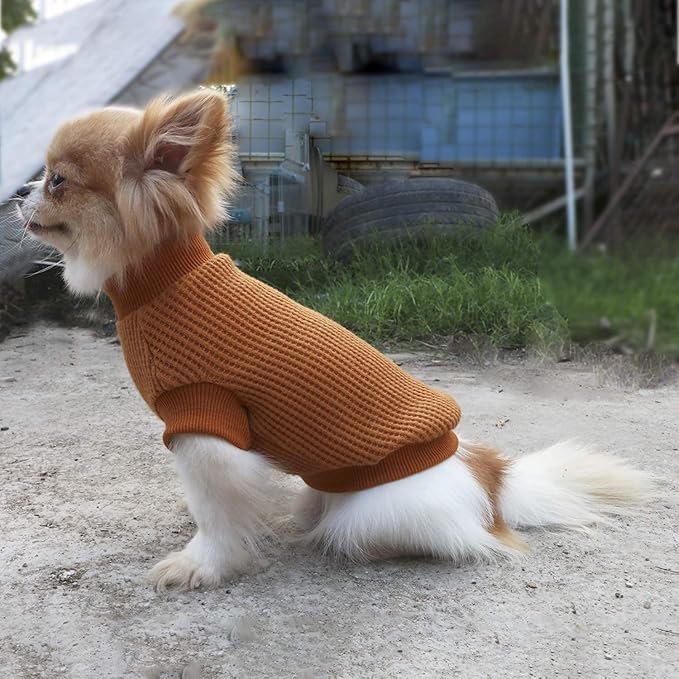 LOPHIPETS Lightweight Dog Sweaters for Puppy Small Dogs Puppy Chihuahua Yorkie Clothes-Yellow/L