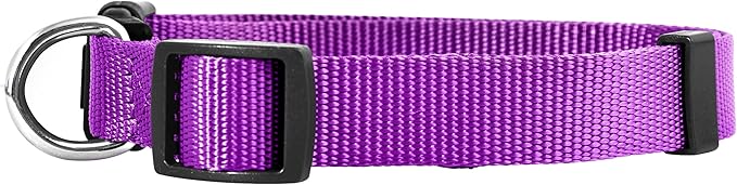 Native Pup Basic Nylon Dog Collar, Adjustable for Small, Medium, Large pet and Puppies Accessories, Cute Colors for Male, Female, boy, Girl, Puppy (Large, Purple)
