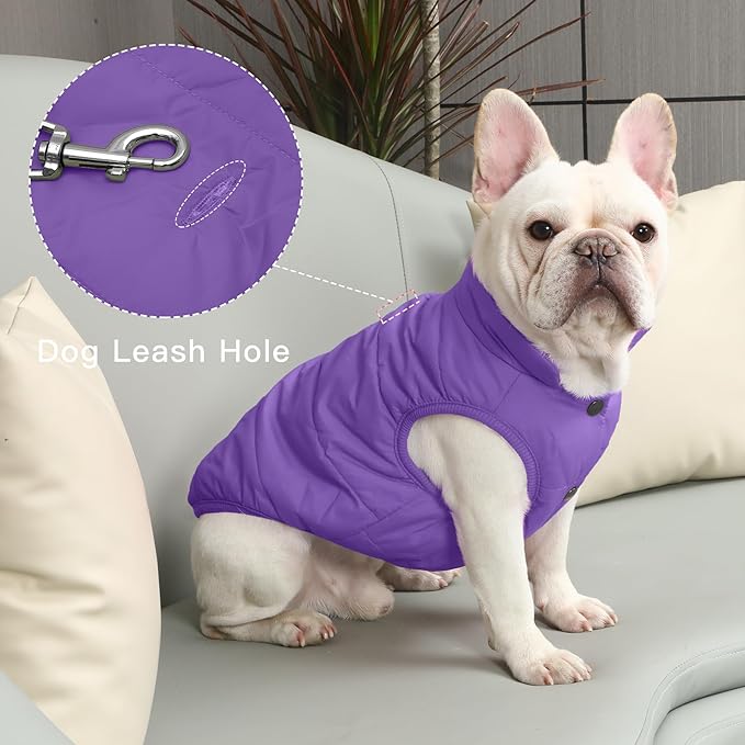 2 Layers Fleece Lined Warm Dog Jacket for Winter Cold Weather,Soft Windproof Large Dog Coat,Purple XXL