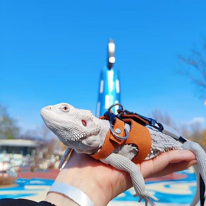 Bearded Dragon Harness and Leash Set, Adjustable Harness Soft Leather-3 Sizes (S, M, L) with Leash, Lizard Reptile Traction Rope Walking Vest Accessories for Bearded Dragon, Iguana or Gecko (Brown)