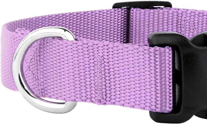 Country Brook Petz - American-Made Dog Collar for Large, Medium, and Small Dogs and Puppies - Deluxe Heavy Duty Nylon in 33 Dazzling Colors (Medium, 3/4 Inch Wide, Lavender)