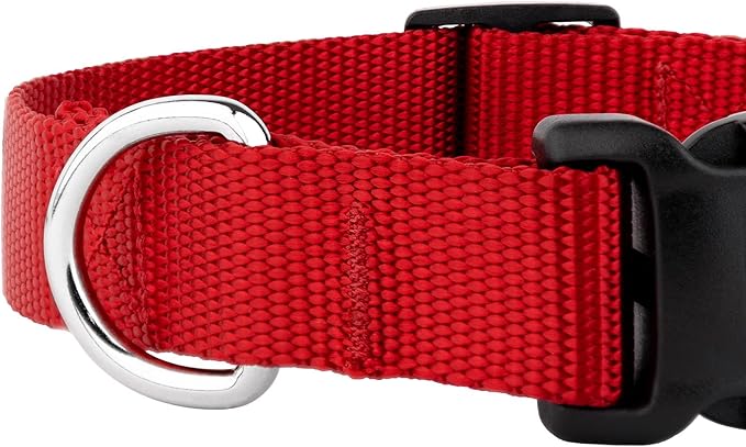 Country Brook Petz - American-Made Dog Collar for Large, Medium, and Small Dogs and Puppies - Deluxe Heavy Duty Nylon in 33 Dazzling Colors (Medium, 3/4 Inch Wide, Red)