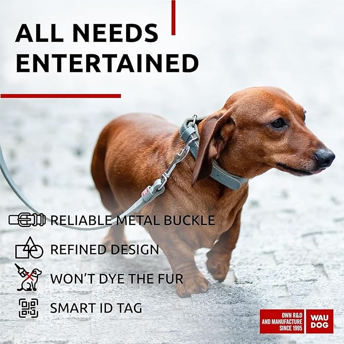 WAUDOG Long Lasting Leather Dog Collar for Large Dogs, Medium & Small Dogs - Adjustable Classic Puppy Collars for Large Breed Dogs - Boy & Girl Dog Collars with Durable Buckle, D-Ring & QR Dog Tag
