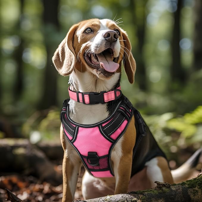 Joytale Reflective Dog Collar,Soft Neoprene Padded Breathable Nylon Pet Collar Adjustable for Extra Large Dogs,Neon Pink,XL