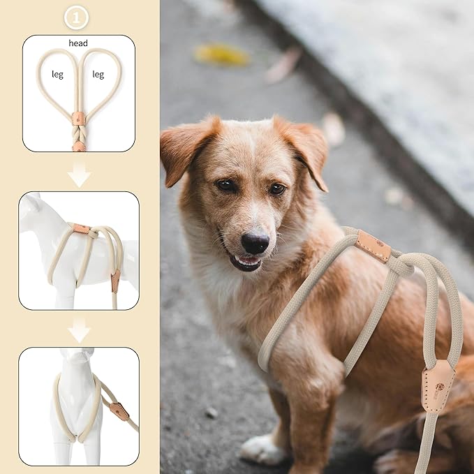 Mile High Life Harness Lead No Pull, All in one Dog Lead 2-in-1, Rope Leash and Harness Two in One, Slip Leash for Puppy Small Dogs Training, 4FT White