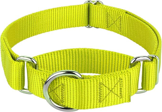 Country Brook Petz Martingale Dog Collar - Heavy-Duty Training Collar with No Buckle - Service Dog Collar for All Pups - Vibrant, Colorful Collection (Hot Yellow, 3/8 Inch, 2XS)