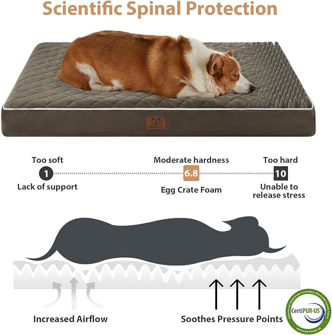 WNPETHOME Orthopedic XL Dog Bed for Crate, Waterproof Extra Large Dog Bed with Removable Washable Cover & Anti-Slip Bottom, Egg Crate Foam Pet Mat, Multi-Needle Quilting Pet Bed