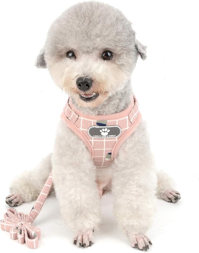 Zunea No Pull Small Dog Harness and Leash Set Adjustable Reflective Step-in Chihuahua Vest Harnesses Mesh Padded Plaid Escape Proof Walking Puppy Jacket for Boy Girl Pet Dogs Cats Pink L