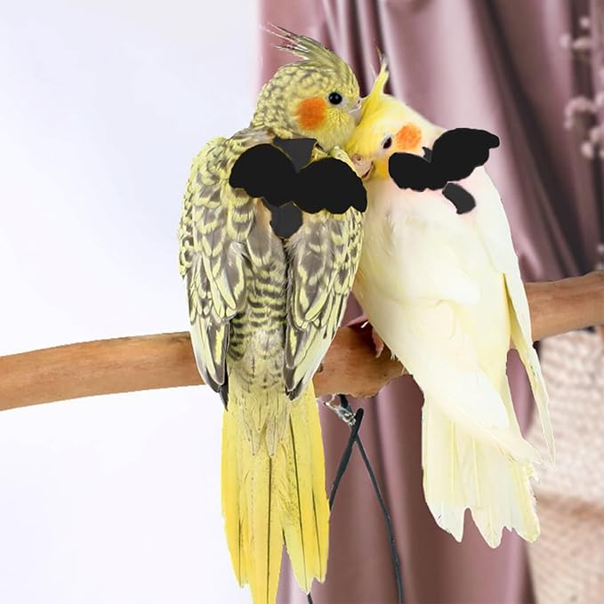 Adjustable Bird Leashes and Harnesses, Bird Nylon Harness with Cute Wing for Parrots, Pet Bird Accessories, Bird Leash for Hang Out, Suitable for Cockatiel, Quaker, Amazon Parrot and Same Size Birds