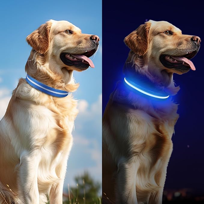 Led Dog Collar for Night Walking,Rechargeable Light Up Dog Collar Led Color,Glow in The Dark Dog Collars Waterproof for Small Medium Large Dogs(Blue, Medium)