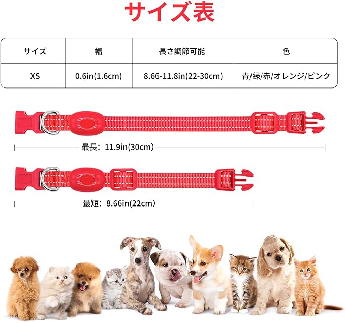 Illumifun Light Up Collar for Small Dogs, USB Rechargeable LED Dog Collar Glow in The Dark, Adjustable Cat Collar Light for Night Walking Camping (Red, X-Small)