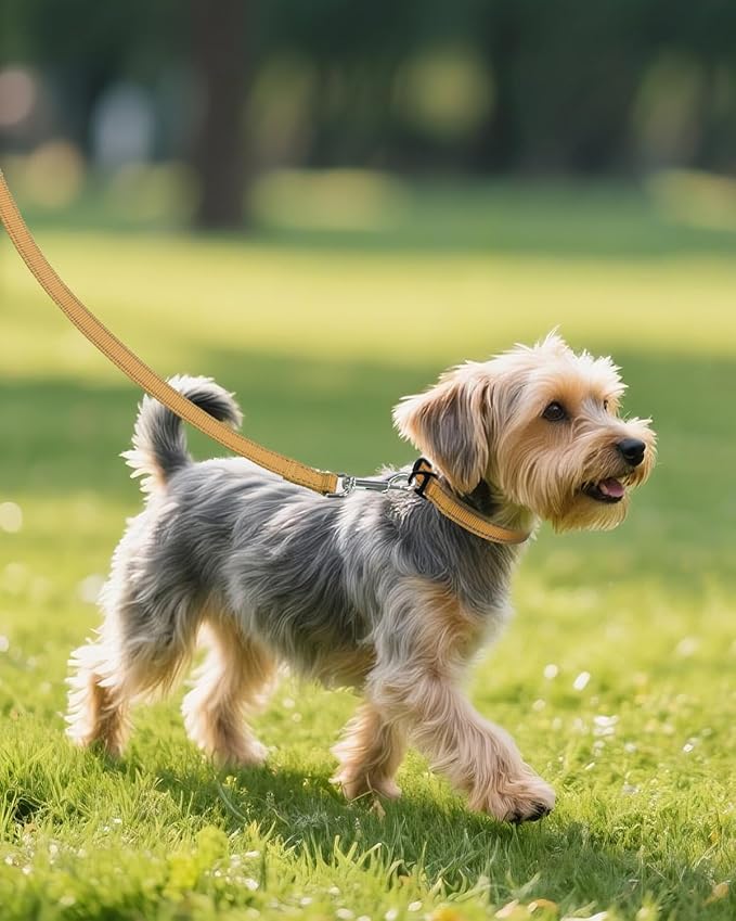 Joytale Small Dog Collar, Reflective and Adjustable Nylon Collar with Quick-Release Buckle, Lightweight No-Choke Design for Small Dogs, Khaki, 3/4" Width