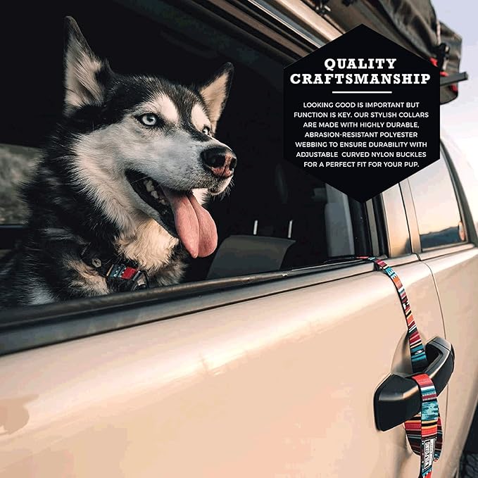 Wolfgang Heavy Duty, Adjustable Dog Collar with Quick Release Nylon Buckle for Walking & Training, Quetzal Print, Large