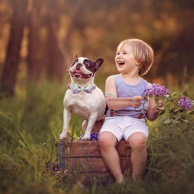 Elegant Little Tail Plaid Dog Collar with Cute Bowtie for Small to Large Dogs