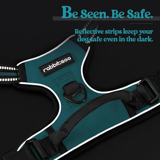 rabbitgoo Dog Harness No Pull with 2 Leash Clips, Adjustable Soft Padded, Reflective Oxford No Choke Pet Vest with Easy Control Handle for Small Dogs, Teal, S