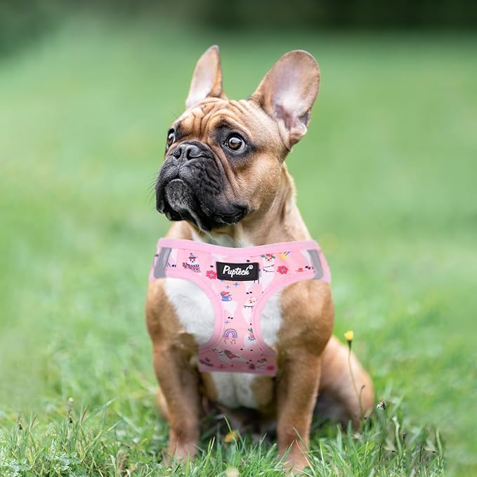 PUPTECK Dog Harness and Leash Set for Small Medium Dogs No Pull Step-in Soft Mesh Puppy Cat Vest Harnesses Reflective at Night, LightPink Print, M