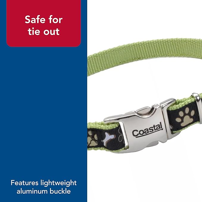 Coastal Pet - Ribbon - Adjustable Dog Collar with Metal Buckle, Brown Paws and Bones, 5/8" x 12"-18"