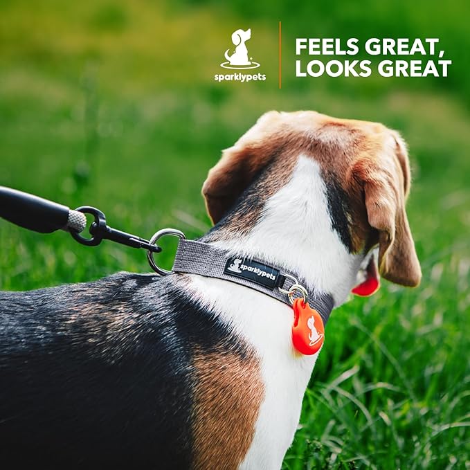 SparklyPets Small Dog Collar with Quick Release Buckle & AirTag Holder – Collars for Female Dogs & Boys with Reflective Stripes & Soft Lining – Perfect for Small & Medium Breeds