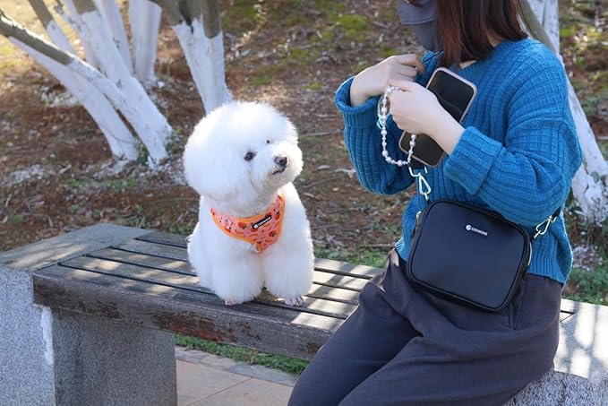 Dog Harness and Leash Set, Adjustable Dog Harness, Dog Leash, No Pull No Choke Puppy Harnesses for Walking Training for Small, Medium, Large Pet