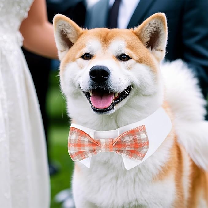 Segarty Dog Bow Tie, Adjustable Orange Plaid Bowtie Collar for Dogs, Large Dog Neck Tie Tuxedo Comfortable Cotton Boy Pets Grooming Accessories for Formal Wedding Holiday Birthday Gift Party