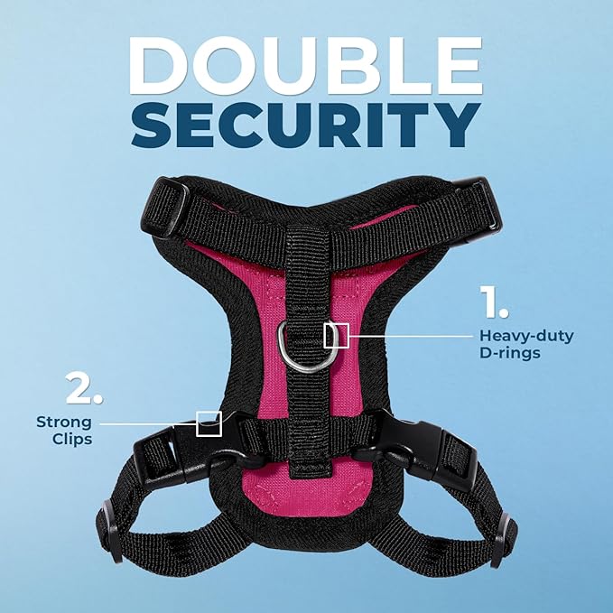 Voyager Step-in Lock Adjustable Cat Harness w. Cat Leash Combo Set with Neoprene Handle 5ft - Supports Small, Medium and Large Breed Cats by Best Pet Supplies - Fuchsia/Black Trim, XXS