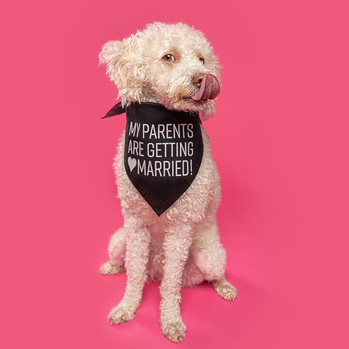 My Parents are Getting Married Dog Bandana (Royal, OS 58)