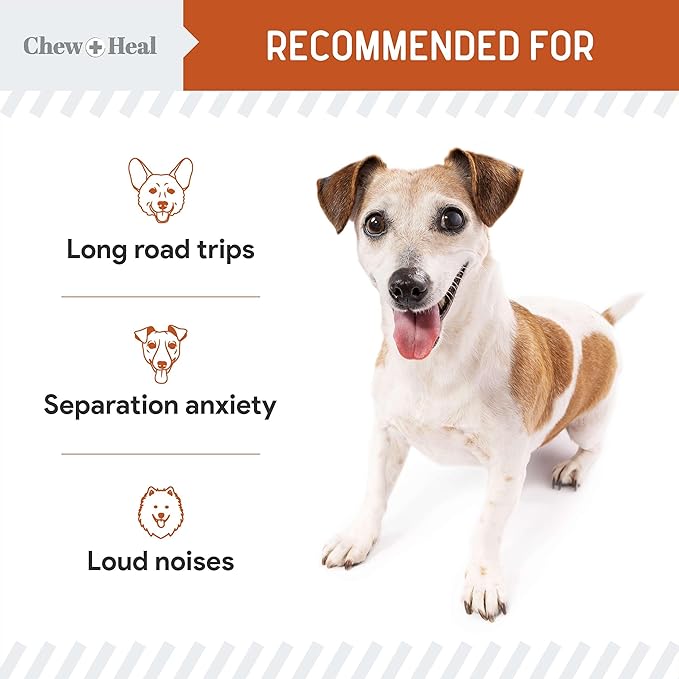 Calming Chews for Dogs - 30 Anxiety Relief Treats for Fireworks, Thunder, and Storms - Natural Dog Calming Treats for Large and Small Breeds with Thiamine, L-Tryptophan, Ginger, and Melatonin